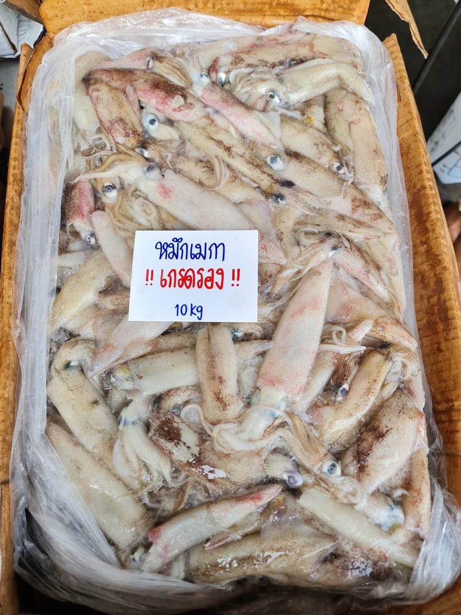 หมึกเมกา เกรดรอง